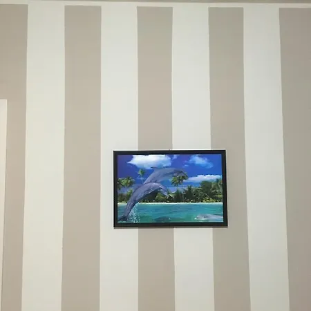 America Tatil Evi Oliveri