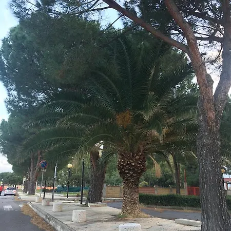 Tatil Evi America