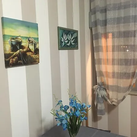 Tatil Evi America